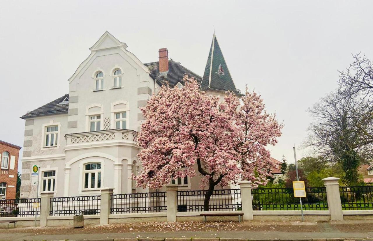 Boutique Appartement Torgau Extérieur photo