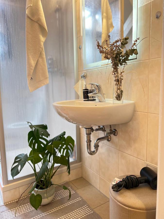 Boutique Appartement Torgau Extérieur photo